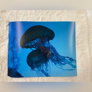 Unique wall decor of jellyfish